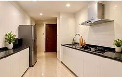 Carissa Park Condominium (D17), Condominium #628496161